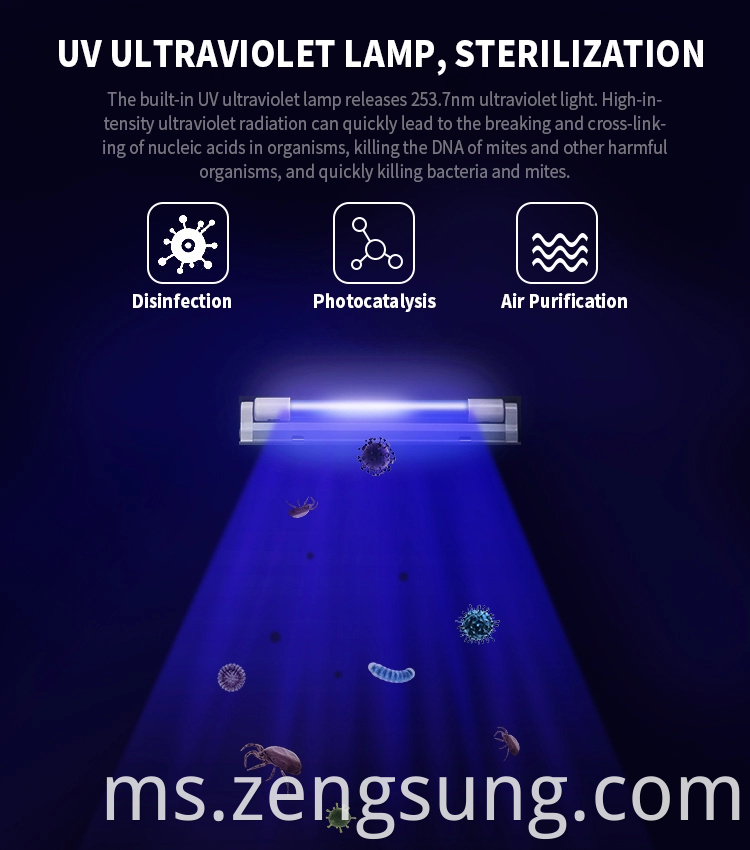 UV Lamp